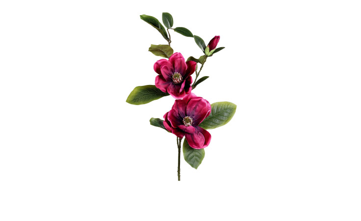Magnolienzweig 70 cm
