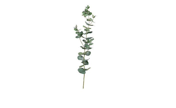 Eukalyptus 74 cm aus Kunststoff in grün.