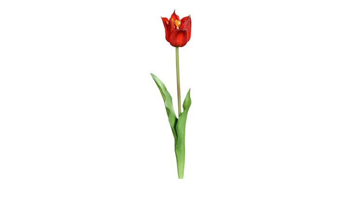 Tulpe 48 cm aus Kunststoff und Polyurethan mit einer roten Tulpe und grünen Stiel und Blätter.