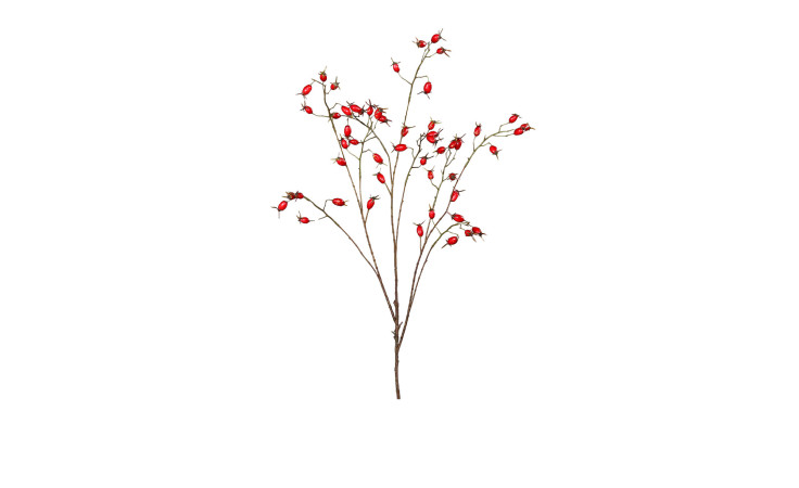 Hagebuttenzweig 100 cm aus Kunststoff in rot.