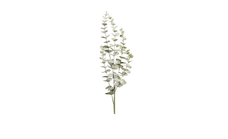 Eukalyptus 73 cm in grün