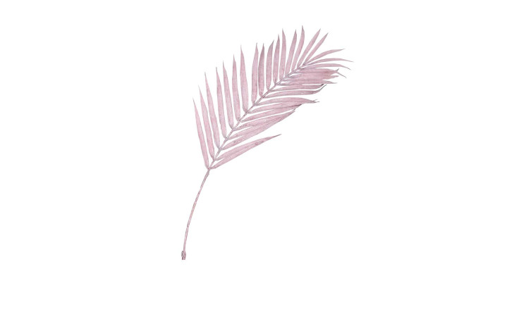 Farnzweig 80 cm in pink