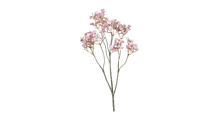 Schleierkraut 70 cm in rosa