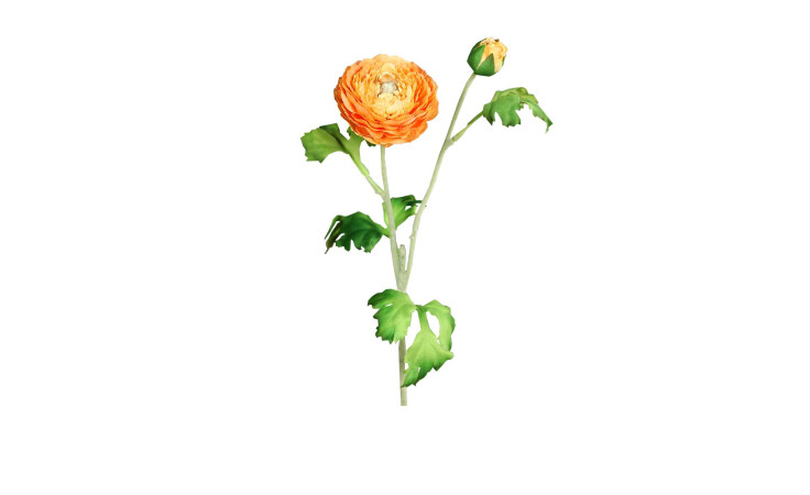 Ranunkel 60 cm in orange
