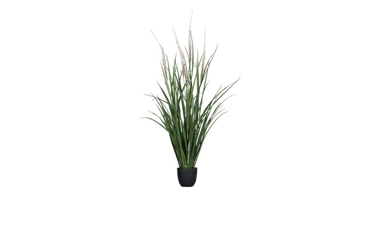 Gras 96 cm 