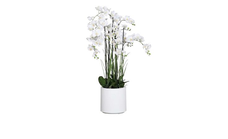 Orchideen-Arrangement 134cm in weiß