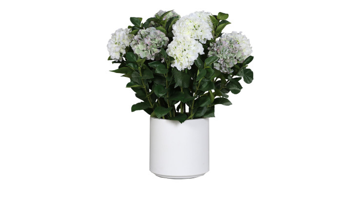 Hortensien-Arrangement 74 cm