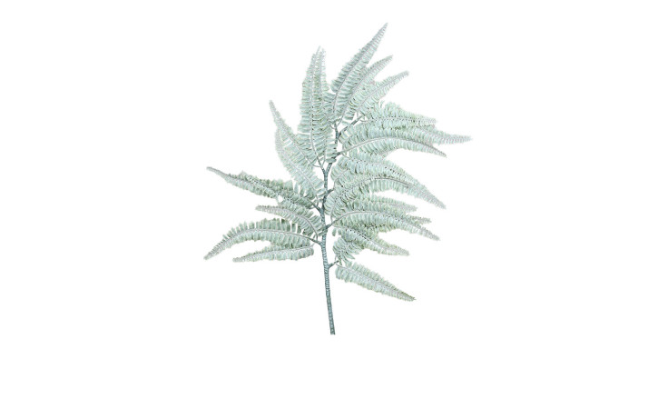 Farnzweig 100 cm
