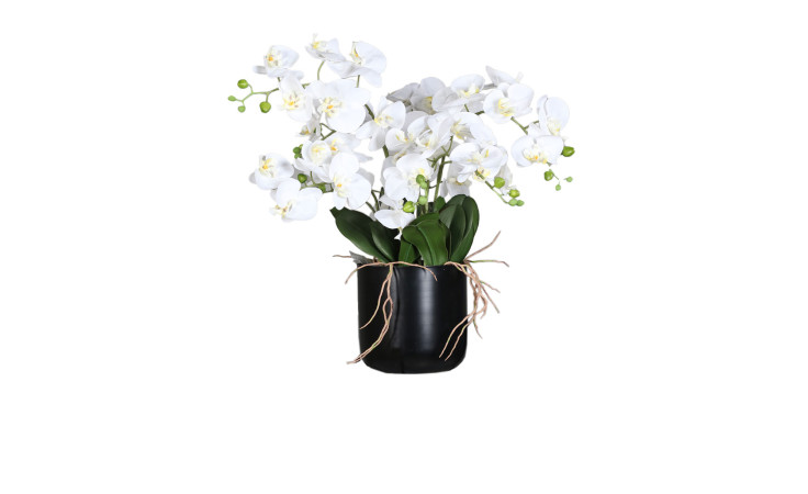 Orchideen-Arrangement 100 cm