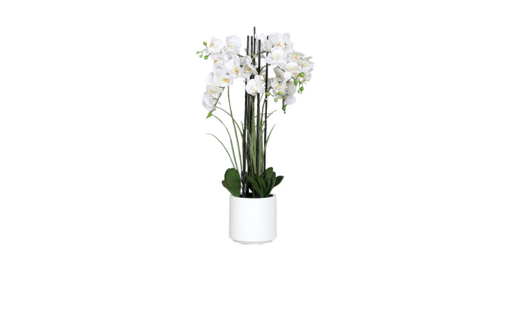 Orchideen-Arrangement 100 cm