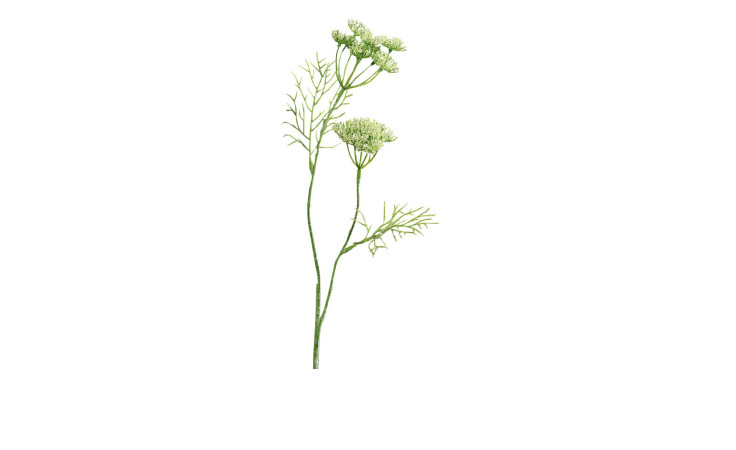 Dill 56 cm aus Kunststoff in grün mit weißen Applikationen.