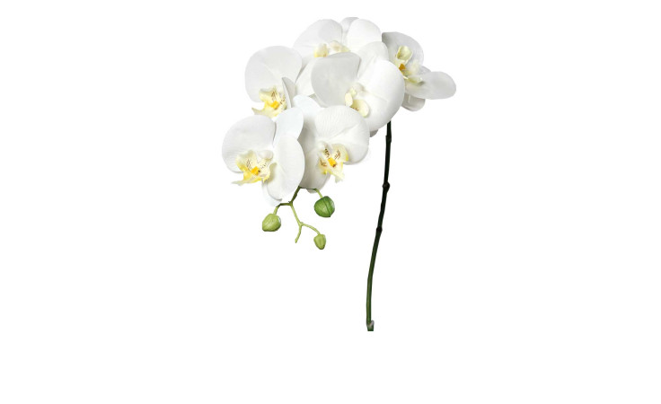 Orchidee 78 cm aus Kunststoff mit weißen Blüten und einem grünen Stiel.