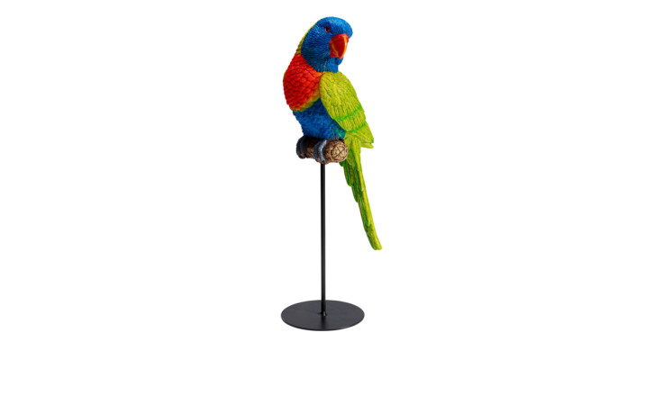 Parrot Mehrfarbige Ausführung