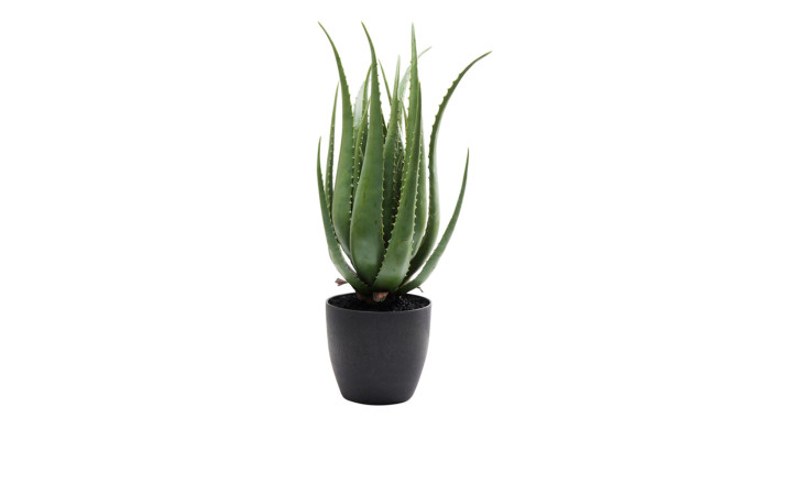 Deko-Pflanze 69 cm hoch
