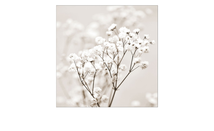 Glasbild Meadow Flower 20 x 20 cm. Glasbild mit dem Thema - Blumen.