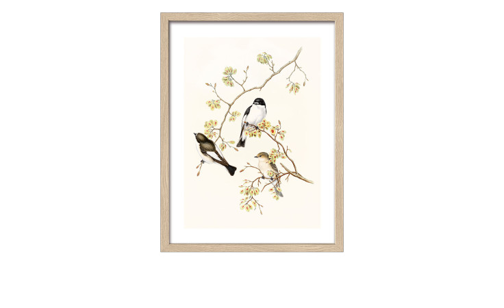 Rahmenbild Birds 33 x 43 cm