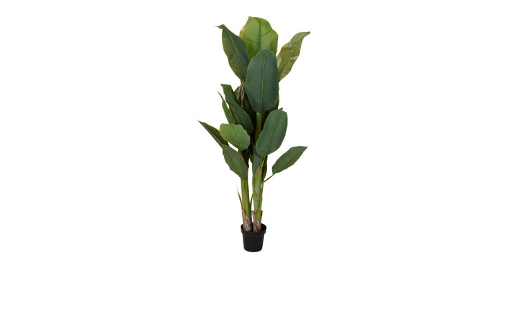 Gartendeko-Pflanze Banana Joe in grün mit 29 Blättern
