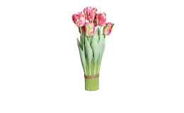 Tulpen Arrangement 54 cm