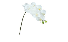 Orchidee-Phalaenopsis 80 cm aus Kunststoff mit einem grünen Stiel und weißen Blüten.