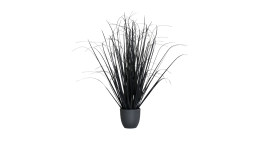 Gras 130 cm