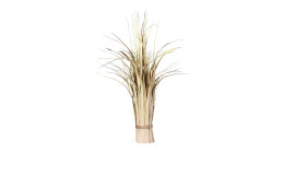 Stehgras 58 cm aus Kunststoff in beige mit einem braunen Band zugebunden.