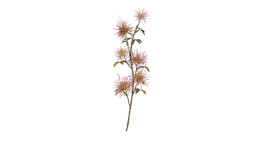 Hamamelis-Pick 51 cm aus Kunststoff mit rosa Blüten, grünen Blätter und braunen Stiel.