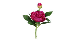 Päonie 36 cm aus Kunststoff mit einer pinken Blüte und grünen Stiel und Blätter.