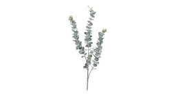 Eukalyptus 75 cm aus Kunststoff in grün.