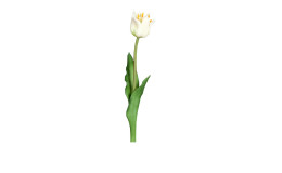 Tulpe 48 cm aus Kunststoff und Polyurethan mit einer weißen Blüte und grünen Stiel und Blätter.