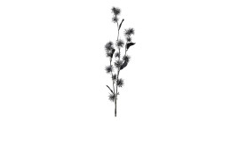 Hamameliszweig 60 cm aus Kunststoff in schwarz mit Applikationen.