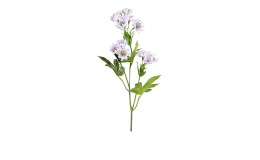 Astrantia 60 cm aus Kunststoff mit lila Blüten und grünen Stiel und Blätter.