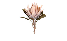 Protea 55 cm aus Kunststoff mit einer rosa Blüte, grüne Blätter und braunen Stiel.