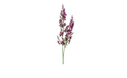 Wax-Blume 60 cm aus Kunststoff mit lila Blüten und grünen Stiel und Blätter.