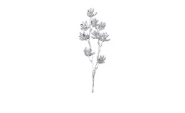 Fruchtstand 33 cm aus Kunststoff in silber.