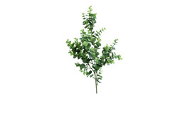 Eukalyptus-Zweig 70 cm aus Kunststoff in grün.
