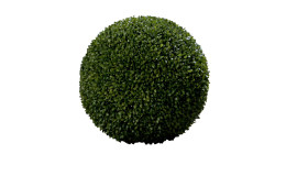 Buchskugel 45 cm