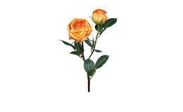 Rose 57 cm in orange