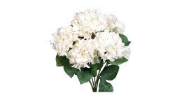 Hortensien-Busch 80 cm in beige