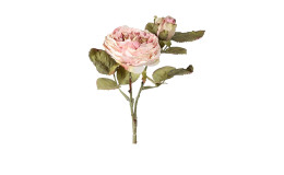 Rose 33 cm in rosa