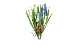 Muscari Pick 22cm in einer mehrfarbigen Ausführung