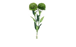 Fruchtstand 54 cm in grün