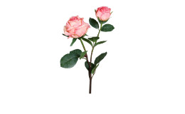 Rose 57 cm in pink