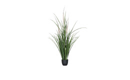 Gras 89 cm