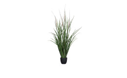 Gras 96 cm 