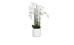 Orchideen-Arrangement 134cm in weiß