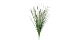 Gras mit Fruchtstand 50 cm