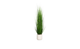 Gras 150 cm