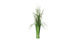 Stehgras 89 cm