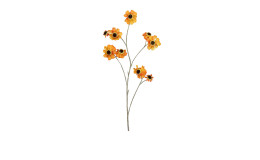 Cosmea 101 cm 