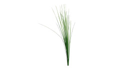 Isolepsis 70 cm aus Kunststoff in grün.
